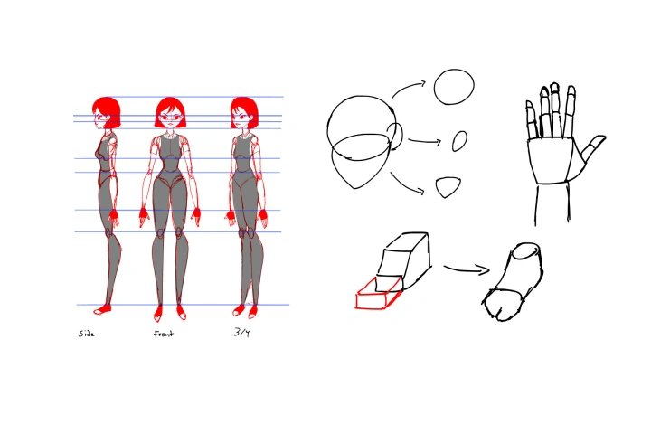<p><strong>Simplified Body Structure</strong></p>