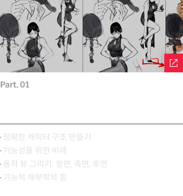 콜로소 일러스트레이터 Guweiz 