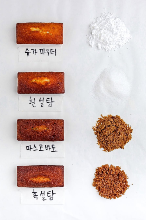콜로소 에셋 포트폴리오