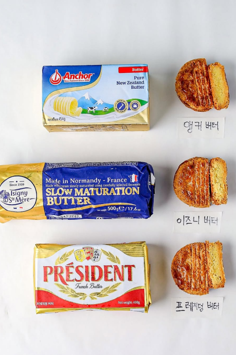 콜로소 에셋 포트폴리오
