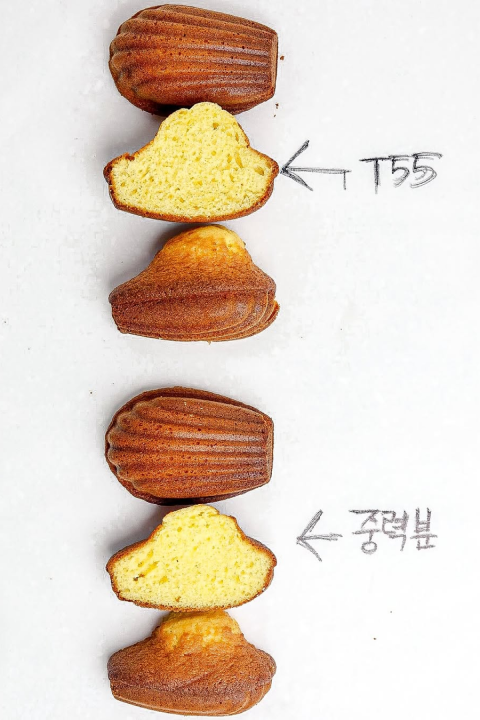 콜로소 에셋 포트폴리오