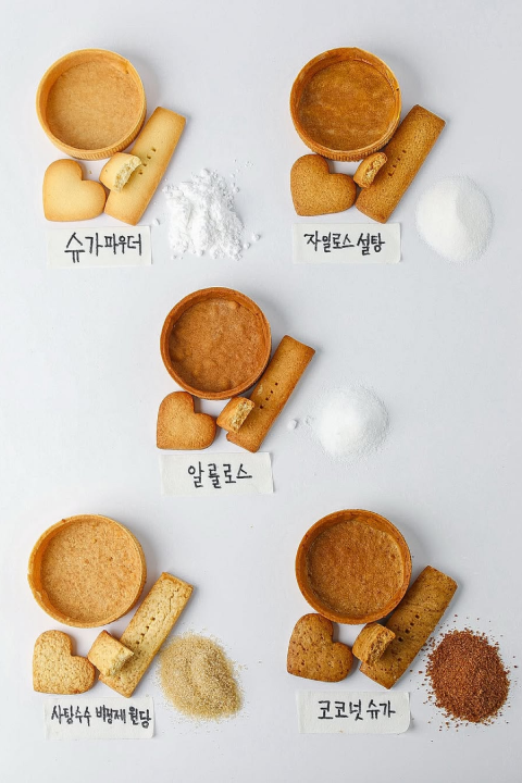 콜로소 에셋 포트폴리오