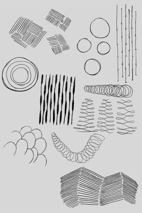 Illustrator, Zoo