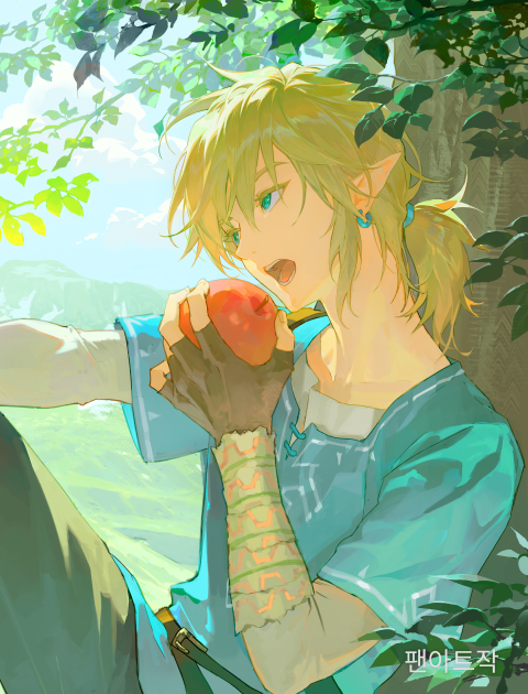 Illustrator, YANGGAE