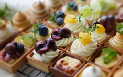 라베또 대표 이은하-image