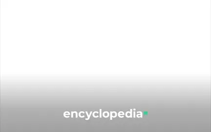 Practical Tips to Kickstart Your Anime Production Journey