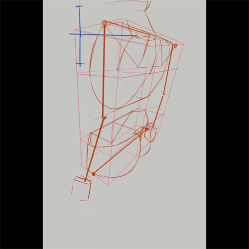 <p><strong>Croquis Practice Made Simple Using Basic Shapes</strong></p>