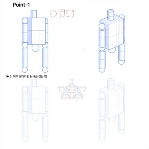 <p><strong>Easy and Quick Way to Draw the Human Body Using Shapes</strong></p>