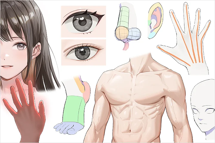 <p><strong>キャラクターの特徴を活かす身体の要素の表現</strong></p>