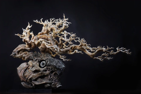 <p>量感のコントロール</p>