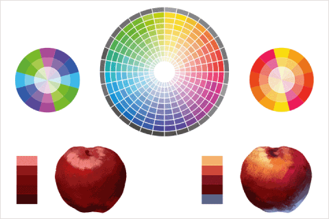 Illustrator, lika