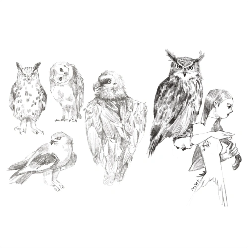 2D Animator, Rosy Mollet Exercise