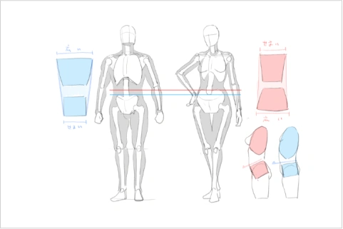 <p><strong>ความรู้พื้นฐานในการวาดร่างกายคน</strong></p>
