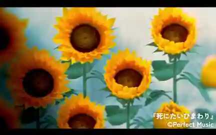 ゼロから完成まで!MVアニメーション制作の実践ステップ