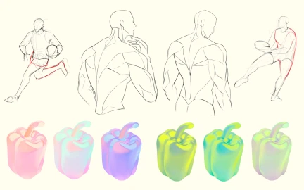 매일 1시간, 8주 만에 완주하는 일러스트 독학 루틴 완성 스터디