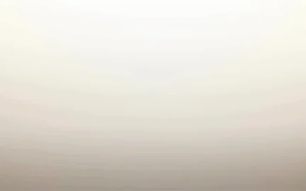 2D Animator, Lamoon-image