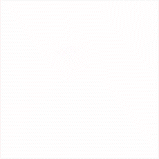 ImageSlide