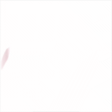 ImageSlide