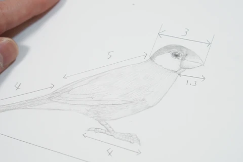 <p>バランスを決める設計図の作り方</p>