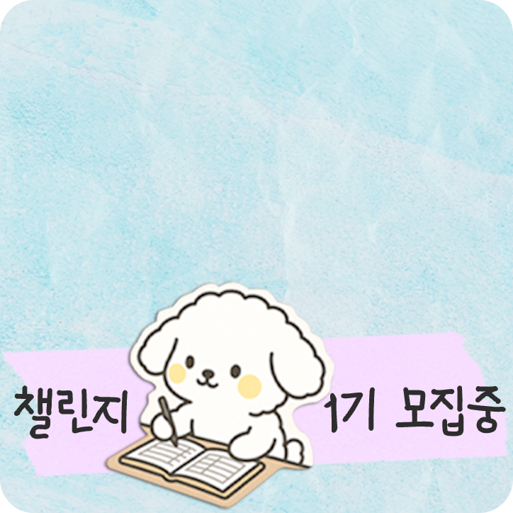 4주 완성 가계부 챌린지