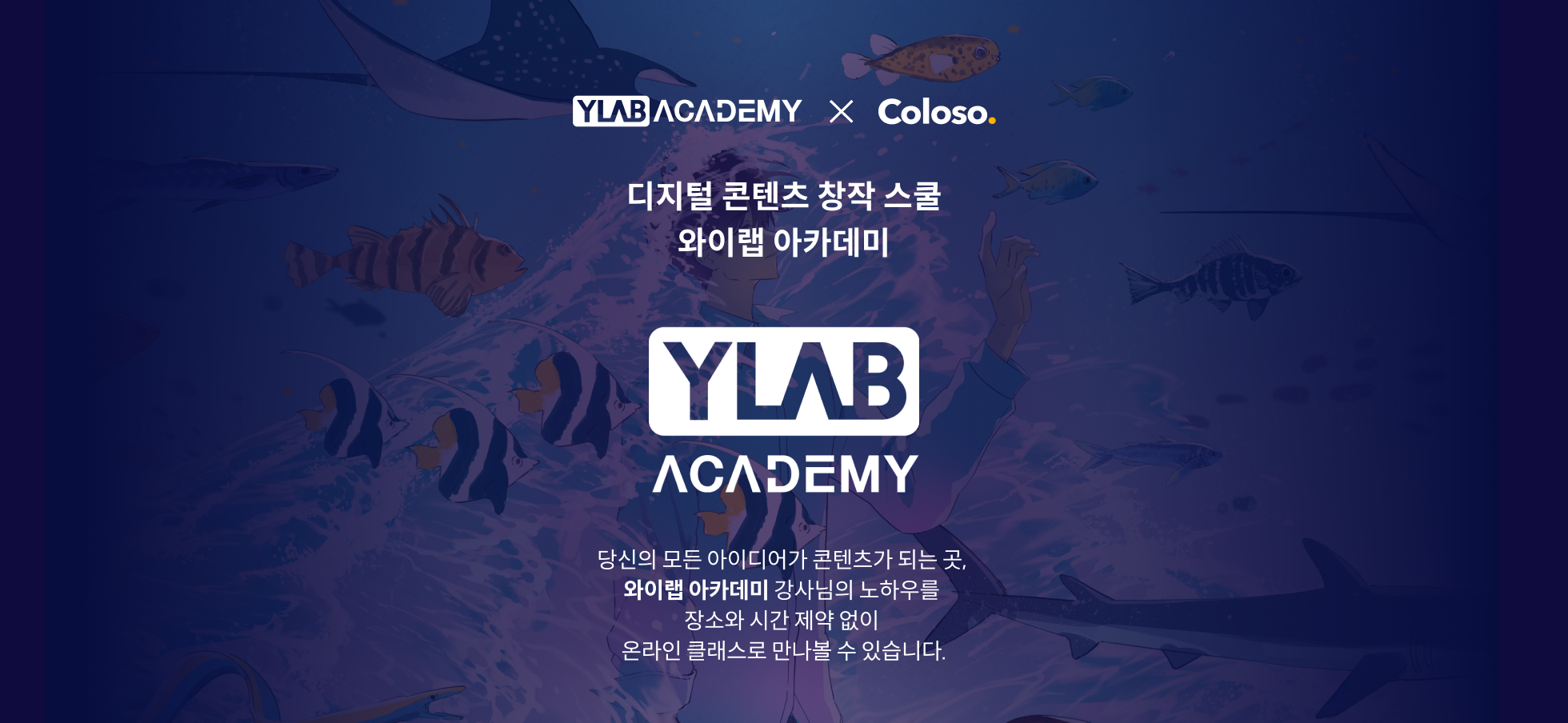 배경이미지