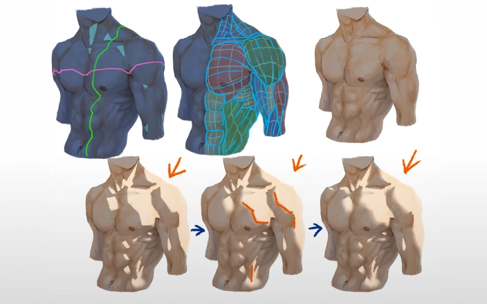 細マッチョから超マッチョまで描く筋肉ライティング講座