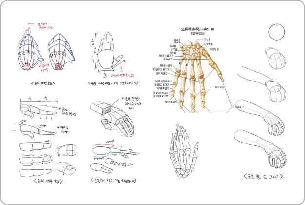 ImageSlide<b>Day 14. 손 구조와 흐름 그리기</b>