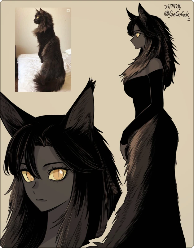 ImageSlide[검은 고양이]