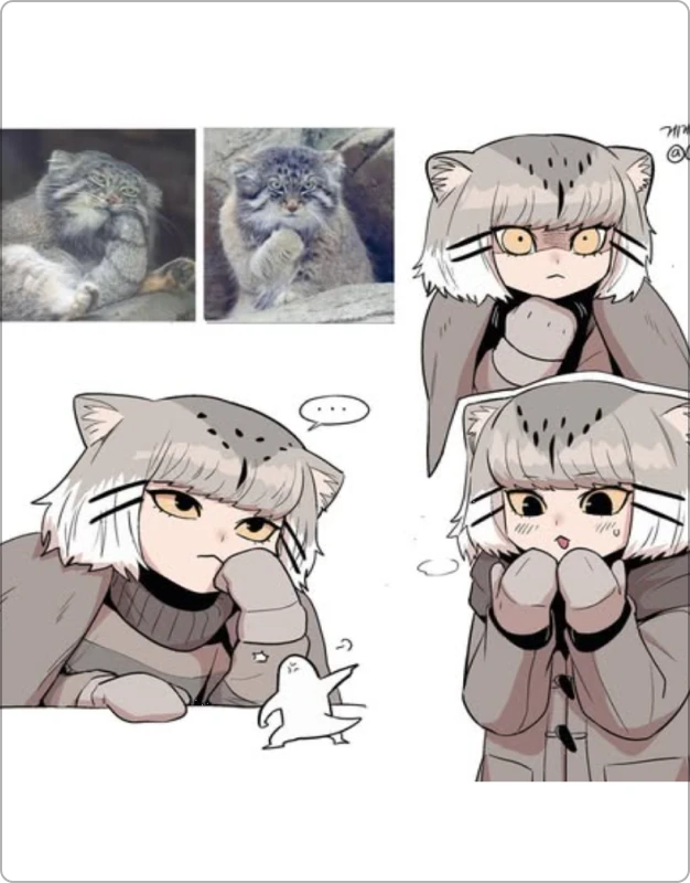 ImageSlide[마눌 고양이]