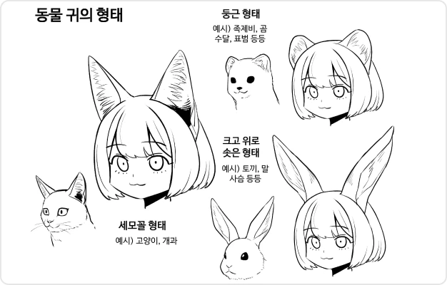ImageSlide동물 귀 형태