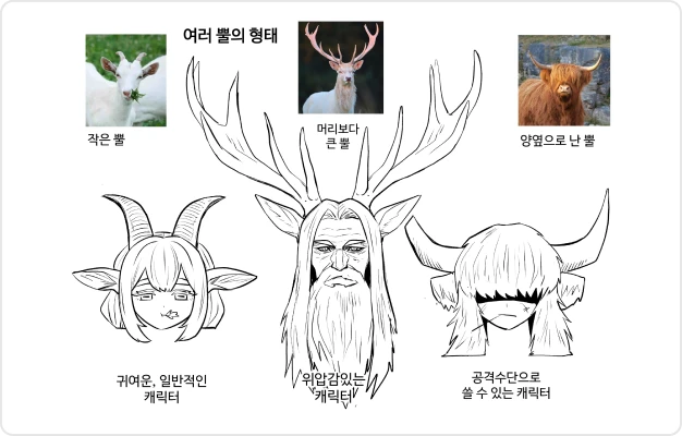 ImageSlide동물 뿔 형태