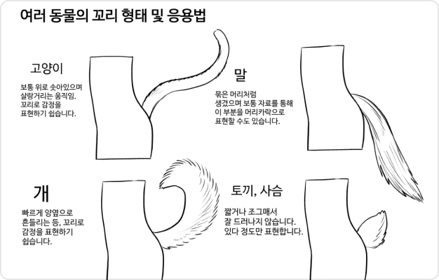 ImageSlide포유류 꼬리 형태