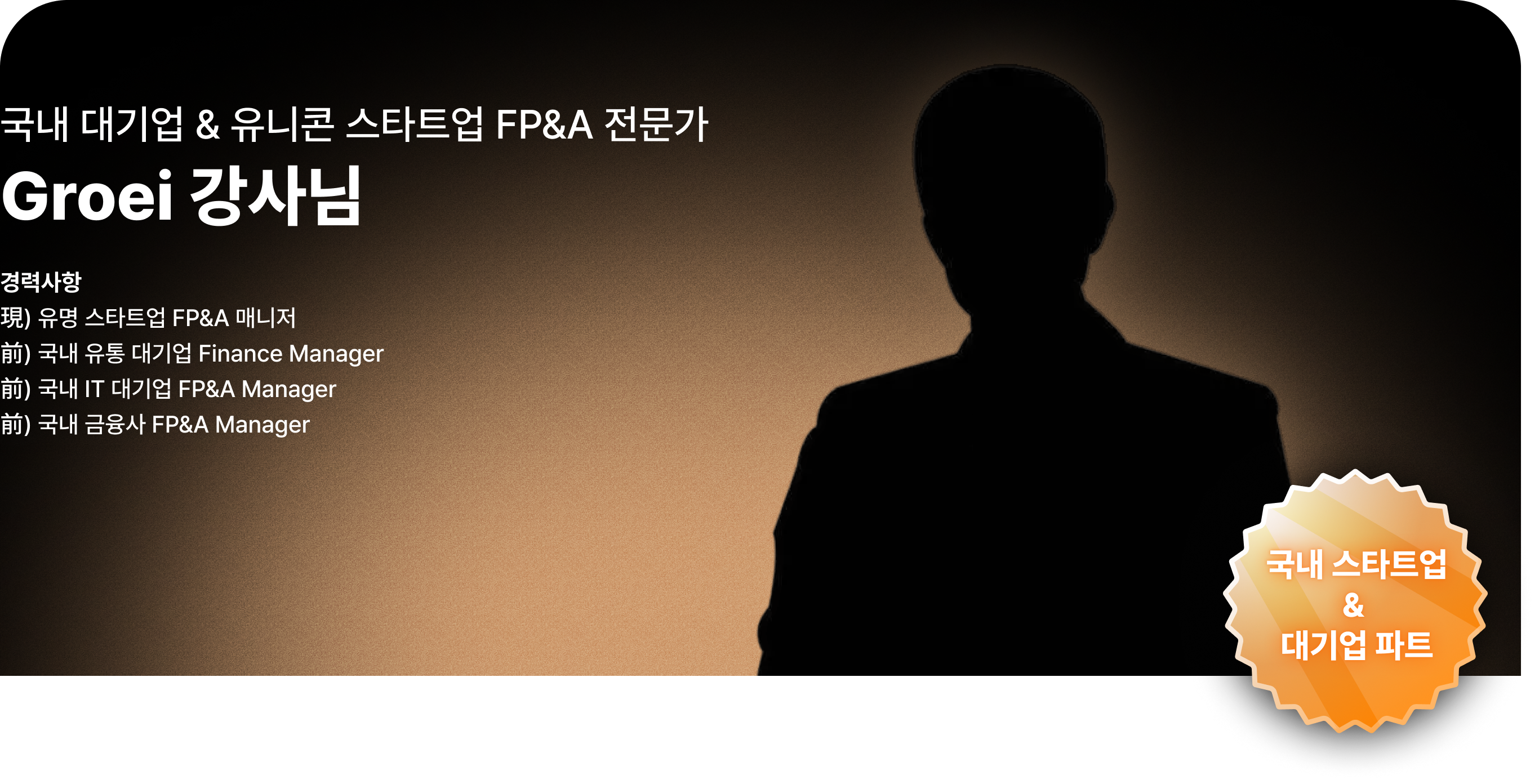 대기업 FP&A