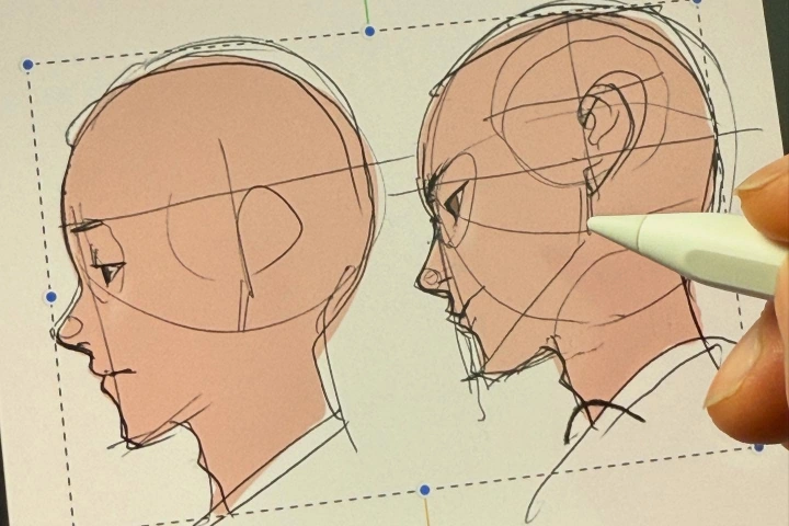 illustrator, chommang point