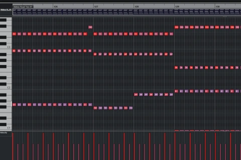 <p><strong>Musical Development</strong></p>