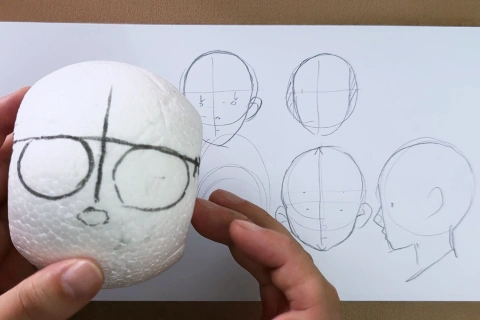 <p>頭部構造を立体的に捉えるための理解</p>