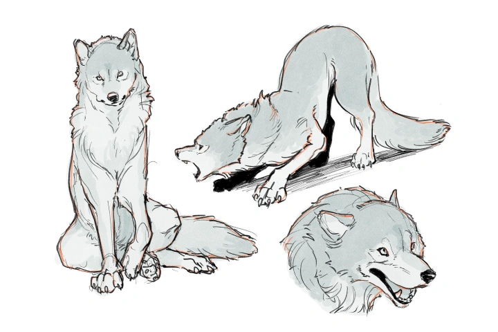 <p>最短ルートで学ぶ動物の解剖学</p>