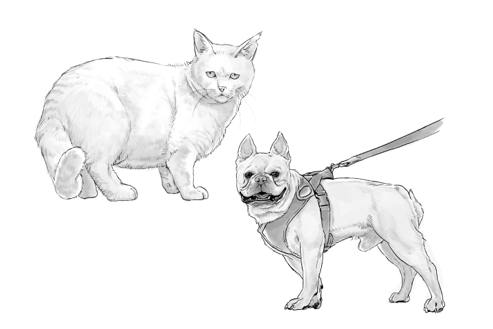 <p>ワンパターンにならない各動物の描き分け方</p>