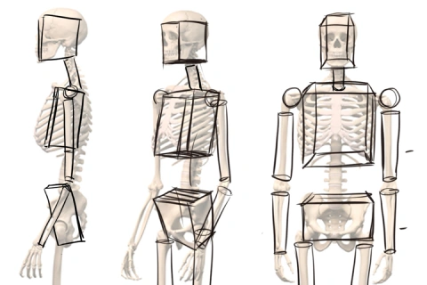 <p><strong>Dibujar humanos</strong></p>