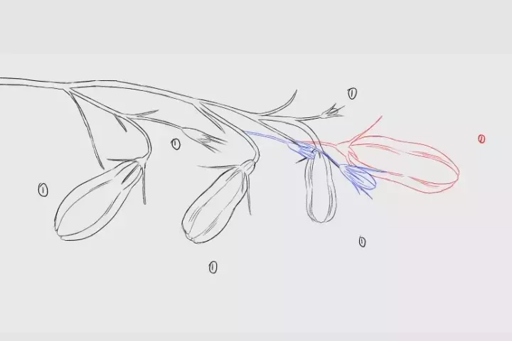 2D FX Animator, Sixtine James