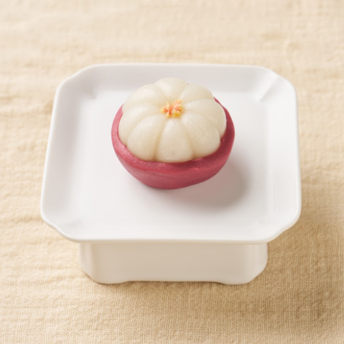 서화백당 대표, 박금화 강의예제