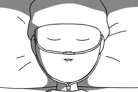 애니메이터, 기메띠 강의예제