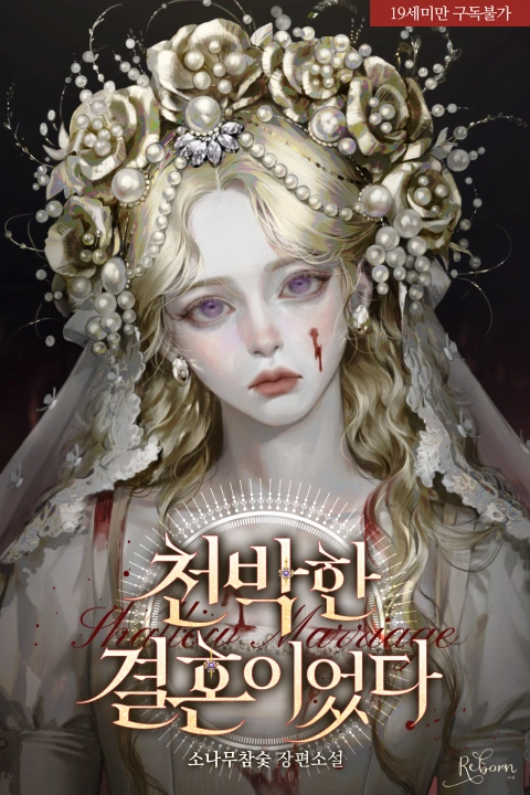 콜로소 에셋 포트폴리오