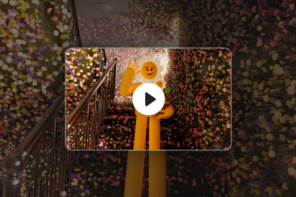 3D 아티스트, 재광 혜택