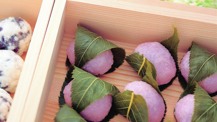 curriculum-tsuji-wagashi-02-2.webp