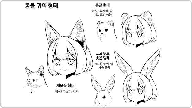 ImageSlide동물의 기본 구조 이해