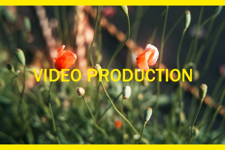 <p>クライアントの不安を先回りして解消する力</p>