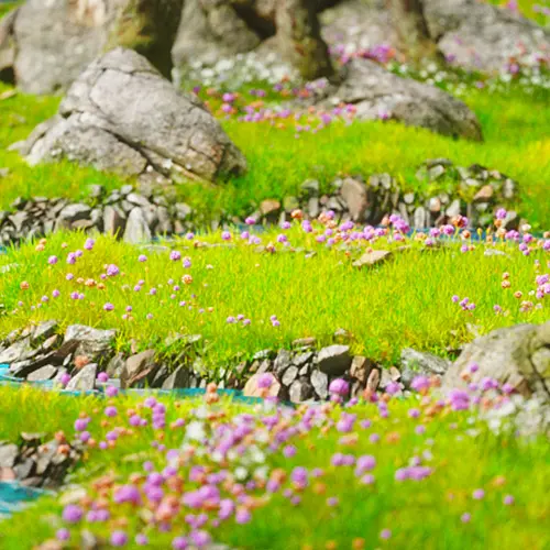 <p>しっかりしたアセットの配置と環境の構成、Octane Scatterで素早く背景を完成する</p>