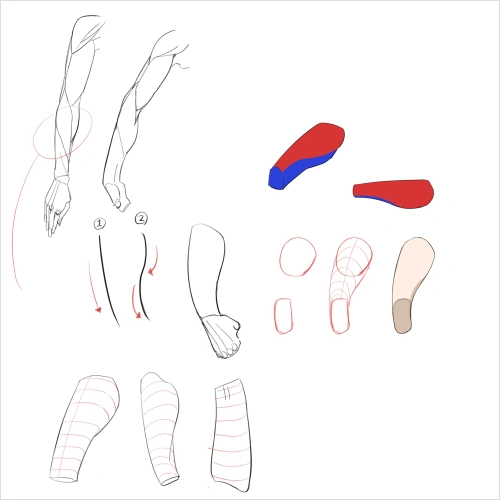 Illustrator , Siwaa
