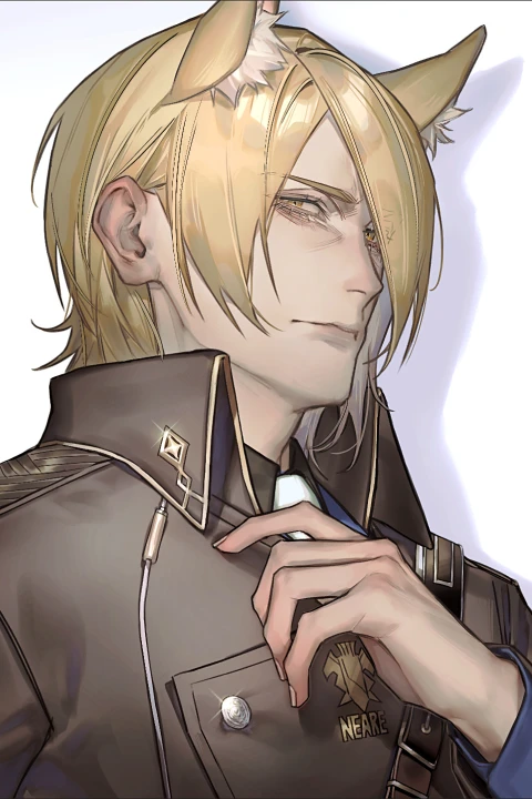Coloso illustrato noze ポートフォリオ
